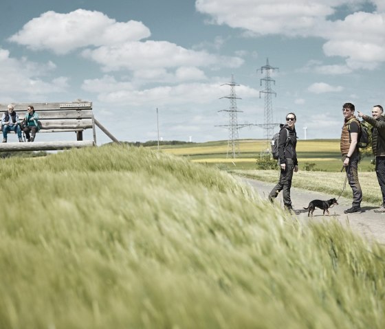 Wandern über die Eifelhöhen, © Schieferland Kaisersesch Wandern über die Eifelhöhen, © Schieferland Kaisersesch