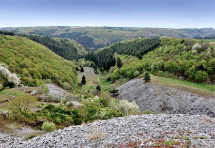 Einzigartiger Blick auf das Kaulenbachtal Einzigartiger Blick auf das Kaulenbachtal