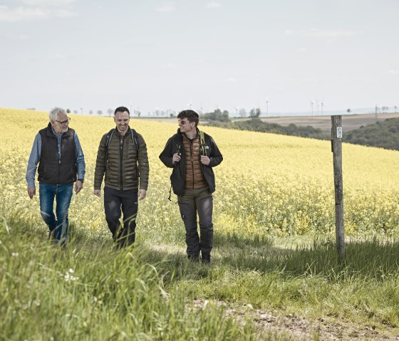 Leuchtende Rapsfelder im Frühsommer, © Schieferland Kaisersesch, Marco Rothbrust Leuchtende Rapsfelder im Frühsommer, © Schieferland Kaisersesch, Marco Rothbrust