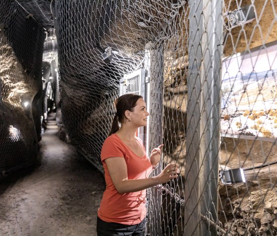 Im Ulmener Maar-Stollen, © Eifel Tourismus GmbH, AR-shapefruit AG Im Ulmener Maar-Stollen, © Eifel Tourismus GmbH, AR-shapefruit AG
