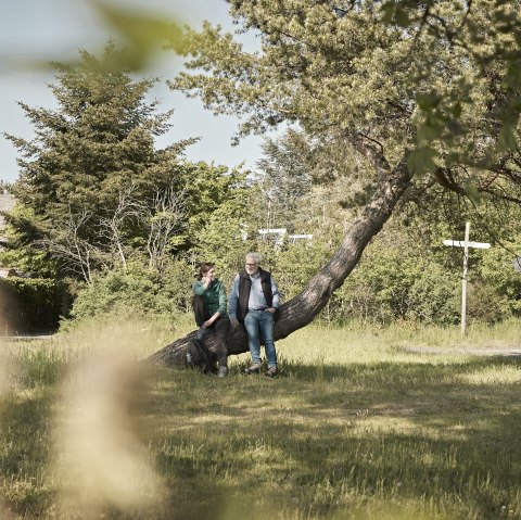 Prospektbestellung , © Schieferland Kaisersesch, Marco Rothbrust Prospektbestellung , © Schieferland Kaisersesch, Marco Rothbrust