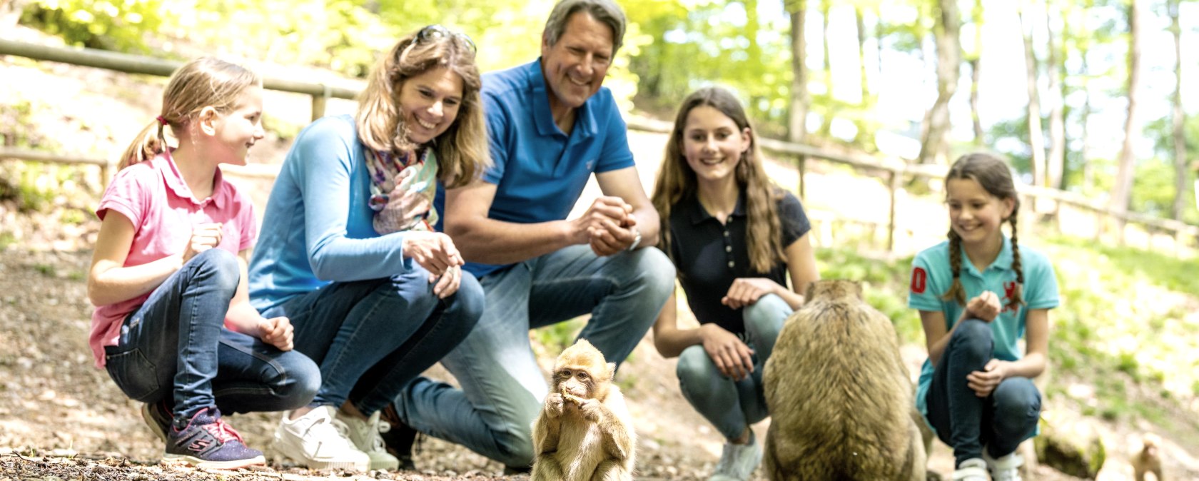 Affen füttern im Wild- und Erlebnispark Daun, © Eifel Tourismus GmbH, Dominik Ketz Affen füttern im Wild- und Erlebnispark Daun, © Eifel Tourismus GmbH, Dominik Ketz