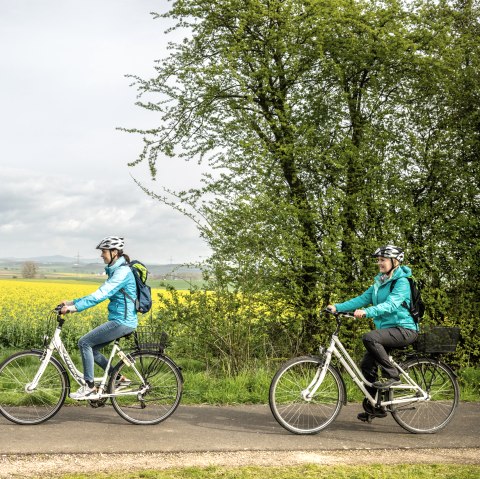 Zwei Radfahrer in blauen Jacken fahren auf einem Weg entlang eines blühenden Rapsfeldes, umgeben von grünen Bäumen und bewölktem Himmel., © Eifel Tourismus GmbH, Dominik Ketz Zwei Radfahrer in blauen Jacken fahren auf einem Weg entlang eines blühenden Rapsfeldes, umgeben von grünen Bäumen und bewölktem Himmel., © Eifel Tourismus GmbH, Dominik Ketz