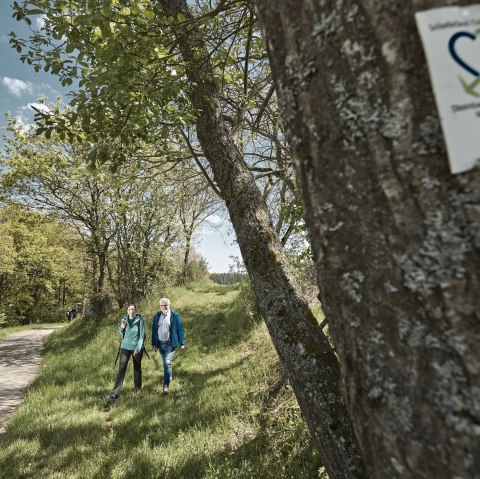 Wanderung entlang des Steinbach Rundweg Masburg, © Schieferland Kaisersesch, Marco Rothbrust Wanderung entlang des Steinbach Rundweg Masburg, © Schieferland Kaisersesch, Marco Rothbrust