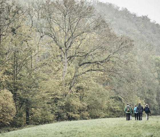 Wandern im Elzbachtal, © Schieferland Kaisersesch, Marco Rothbrust Wandern im Elzbachtal, © Schieferland Kaisersesch, Marco Rothbrust