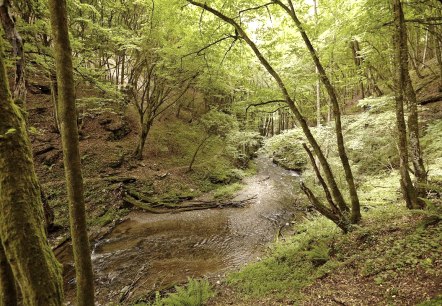 Romantisches Enderttal, © Schieferland Kaisersesch Romantisches Enderttal, © Schieferland Kaisersesch