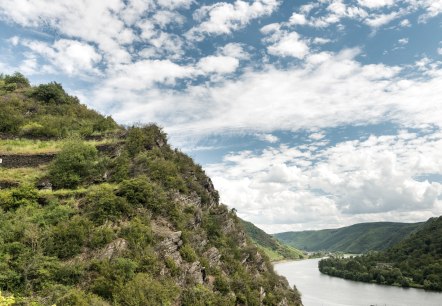 Unterwegs auf dem Moselsteig - Etappe 19, © Rheinland-Pfalz Tourismus GmbH, Dominik Ketz Unterwegs auf dem Moselsteig - Etappe 19, © Rheinland-Pfalz Tourismus GmbH, Dominik Ketz