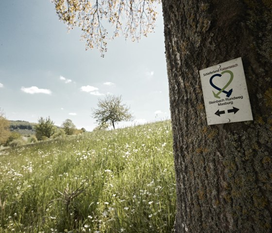 Blühende Wiesen entlang des Rundwanderweges, © Schieferland Kaisersesch, Marco Rothbrust Blühende Wiesen entlang des Rundwanderweges, © Schieferland Kaisersesch, Marco Rothbrust