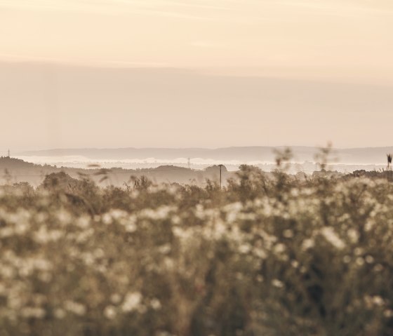Blick ins Maifeld, © Touristik-Büro Schieferland Kaisersesch, Marco Rothbrust Blick ins Maifeld, © Touristik-Büro Schieferland Kaisersesch, Marco Rothbrust