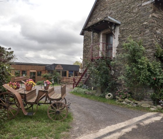 Hof mit Kutsche, © Reit-und Ferienanlage Pyrmonter Hof Hof mit Kutsche, © Reit-und Ferienanlage Pyrmonter Hof