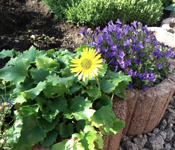 Herzlich Willkommen, © Ferienwohnung Irma Johann Herzlich Willkommen, © Ferienwohnung Irma Johann