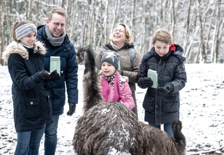 Tiere füttern im Wild- und Erlebnispark Daun, © Eifel Tourismus GmbH, D. Ketz Tiere füttern im Wild- und Erlebnispark Daun, © Eifel Tourismus GmbH, D. Ketz