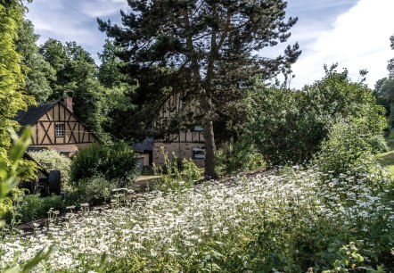 Kaifenheimer Mühle am Brohlbach, © Kaifenheimer Mühle Kaifenheimer Mühle am Brohlbach, © Kaifenheimer Mühle