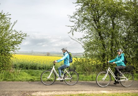 Blühender Raps begleitet die Radfahrer auf dem Maifeld-Radwanderweg, © Eifel Tourismus GmbH, Dominik Ketz Blühender Raps begleitet die Radfahrer auf dem Maifeld-Radwanderweg, © Eifel Tourismus GmbH, Dominik Ketz