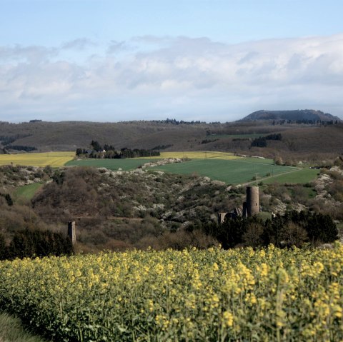 Blick auf die beiden Monreal Burgen, © Foto: Laura Rinneburger, Quelle: Touristik-Büro Vordereifel Blick auf die beiden Monreal Burgen, © Foto: Laura Rinneburger, Quelle: Touristik-Büro Vordereifel
