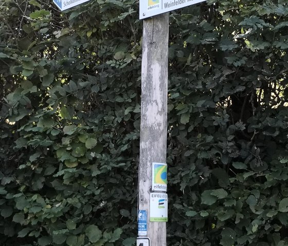 Wanderwege am Maar, © GesundLand Vulkaneifel Wanderwege am Maar, © GesundLand Vulkaneifel