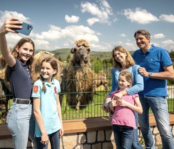 Selfie mit tierischem Lächeln, © Eifel Tourismus GmbH, Dominik Ketz Selfie mit tierischem Lächeln, © Eifel Tourismus GmbH, Dominik Ketz