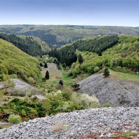 Einzigartiger Blick auf das Kaulenbachtal Einzigartiger Blick auf das Kaulenbachtal
