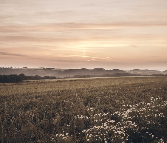 Sonnenaufgang, © Schieferland Kaisersesch, Marco Rothbrust Sonnenaufgang, © Schieferland Kaisersesch, Marco Rothbrust