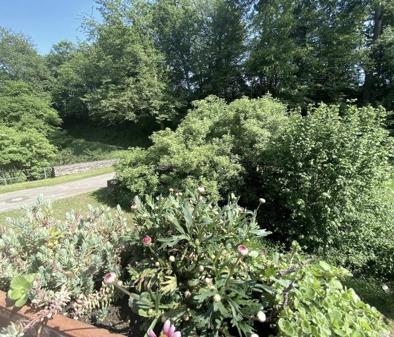 Erholung inmitten von Natur, © Ferienwohnung im Brohlbachtal Erholung inmitten von Natur, © Ferienwohnung im Brohlbachtal