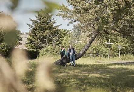 Prospektbestellung , © Schieferland Kaisersesch, Marco Rothbrust Prospektbestellung , © Schieferland Kaisersesch, Marco Rothbrust