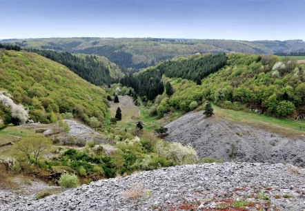 Blick auf die Herrenwiese, © Schieferland Kaisersesch Blick auf die Herrenwiese, © Schieferland Kaisersesch