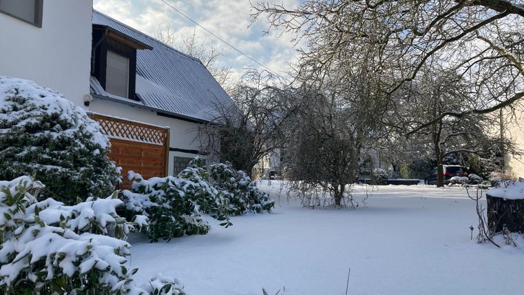 Ein verschneiter Garten mit grünen Sträuchern und einem Haus im Hintergrund. Der Himmel ist leicht bewölkt und es gibt frischen Schnee auf dem Boden.