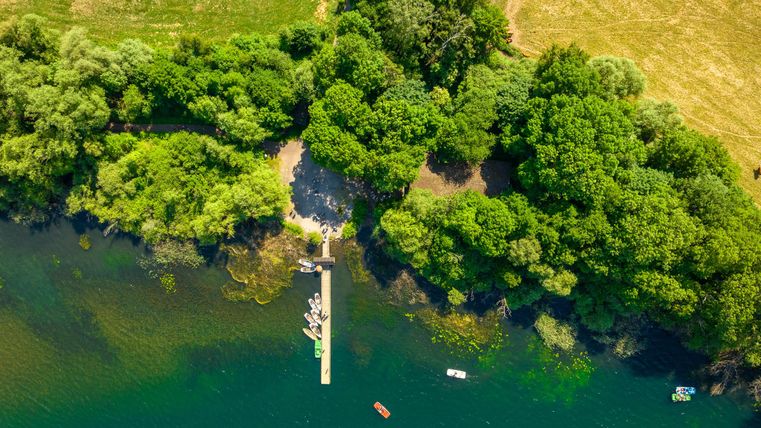 Eine ruhige Wasserlandschaft mit einem Steg und Booten. Üppige Bäume umgeben das Ufer und bieten ein grünes Ambiente.