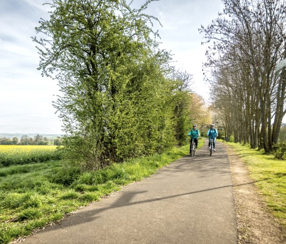 Zwei Radfahrer fahren auf einem asphaltierten Weg entlang blühender Rapsfelder und grüner Bäume., © Eifel Tourismus GmbH, Dominik Ketz