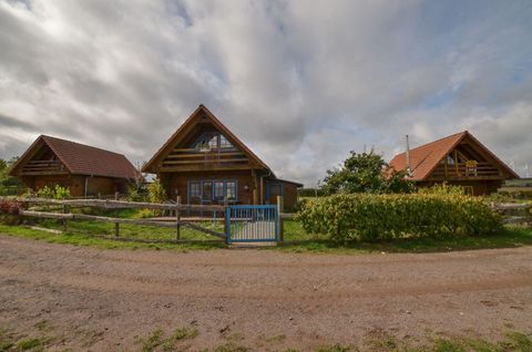 Deux maisons en bois confortables se tiennent au bord du chemin. Le ciel est nuageux et les environs sont verts.