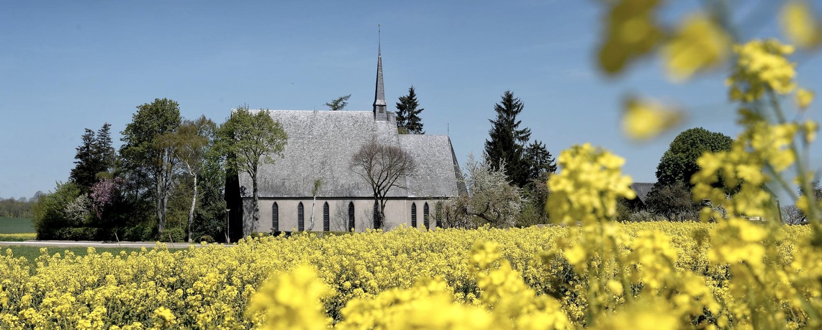 Schwanenkirche im Rapsfeld, © Schieferland Kaisersesch, Christoph Gerhartz