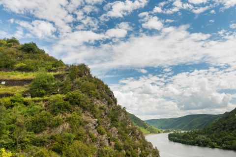 Blick auf einen steilen, begrünten Weinberg mit Trockenmauern oberhalb einer kurvenden Flussschleife, eingebettet in eine bewaldete Hügellandschaft unter einem teils bewölkten Himmel