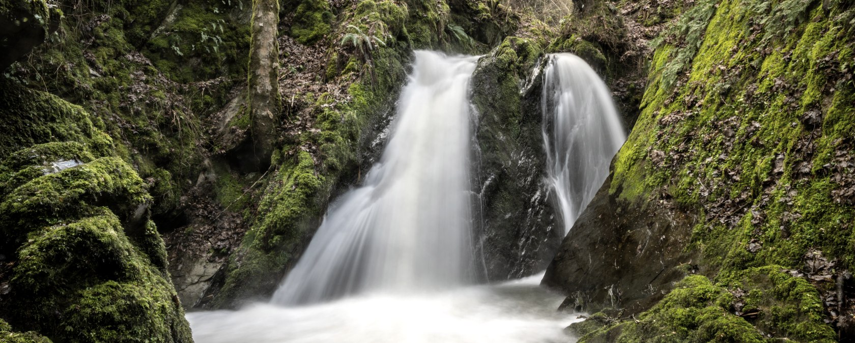 Am moosbedeckten Felsen st&uuml;rzt der Wasserfall Die Rausch sanft in die Tiefe, w&auml;hrend &uuml;ber ihm eine kleine Br&uuml;cke den stillen Zauber des Wanderwegs Im Tal der Wilden Endert bewahrt &ndash; ein Moment voller Ruhe und Naturmagie., &copy; Eifel Tourismus GmbH, Dominik Ketz