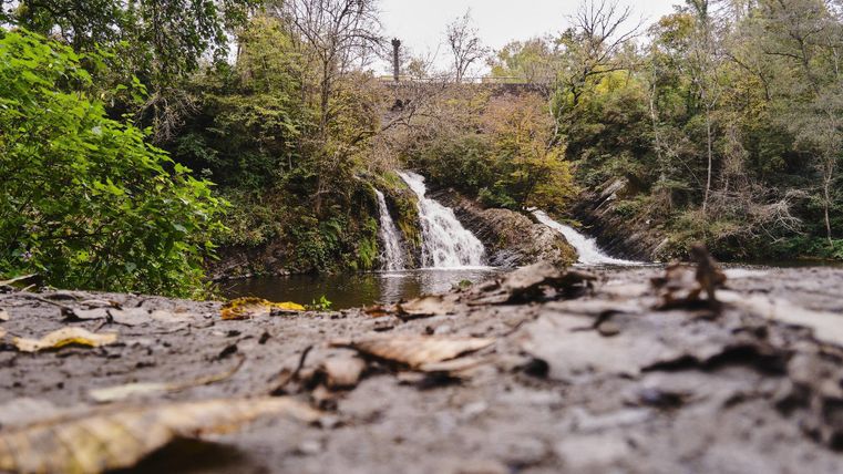Ein kleiner Wasserfall fließt über Felsen in einen ruhigen Teich. Umgeben von üppigem Grün und Bäumen vermittelt die Szene eine entspannende Naturatmosphäre.