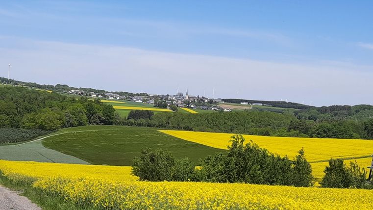 Eine wunderschöne Landschaft mit leuchtend gelben Rapsfeldern und sanften Hügeln. Im Hintergrund ist ein kleines Dorf vor einem klaren Himmel zu sehen.