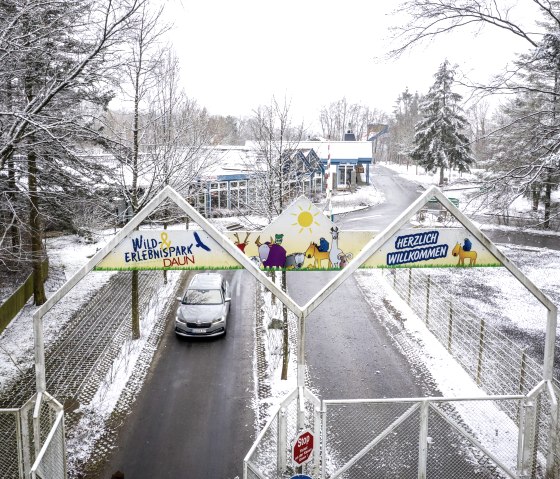 Mit dem Auto durch den Wild- und Erlebnispark Daun, &copy; Eifel Tourismus GmbH, D. Ketz