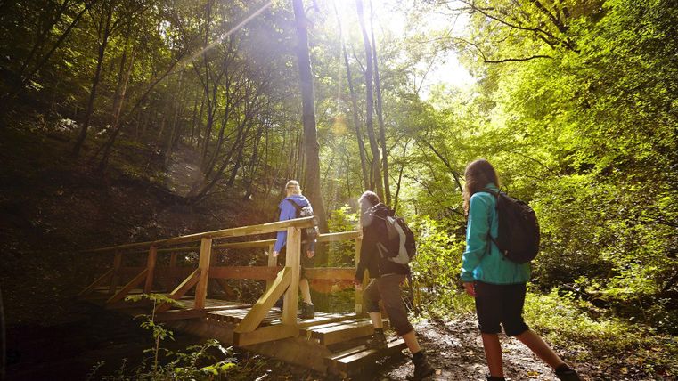 Eine Gruppe von Wanderern überquert eine kleine Holzbrücke in einem grünen Wald. Sanftes Licht strömt durch die Bäume und schafft eine angenehme Atmosphäre.