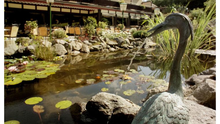 Ein schöner Teich mit Seerosen und einem eleganten Krähenfigur. Im Hintergrund sind gemütliche Terrassen und ein Garten zu sehen.