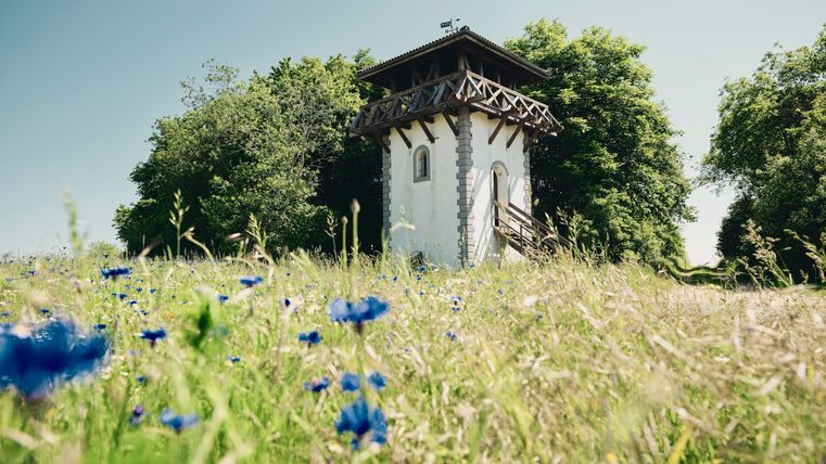 Ein weißes Gebäude mit einem schwarzen Dach steht in einer grünen Wiese. Umgeben von Bäumen und bunten Blumen ist es ein idyllischer Ort.