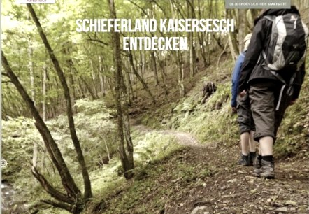 Neuer Internetauftritt
