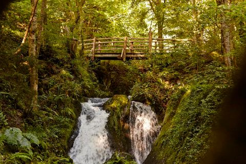 Ein malerischer Wasserfall fließt durch einen dichten Wald. Eine Holzbrücke überspannt den Wasserfall und fügt sich harmonisch in die natürliche Umgebung ein.