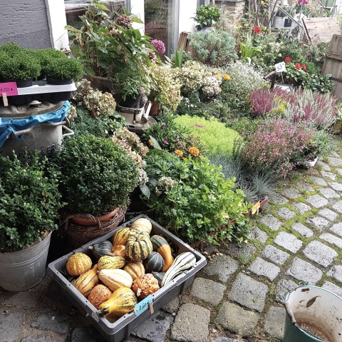 Außenansicht im Herbst, © Café Zeit