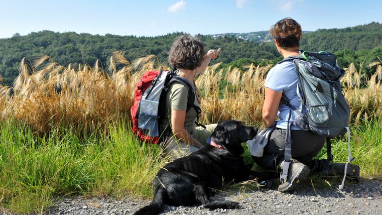 Zwei Wanderinnen mit Hund machen eine Pause am Feldrand und blicken ins Tal.