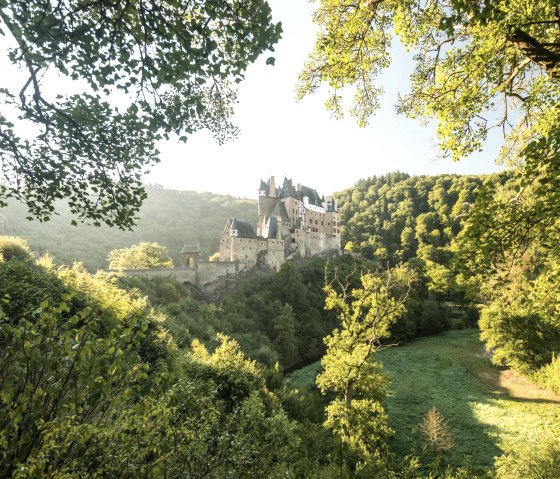 Burg Eltz thront majestätisch auf einem Hügel, umgeben von üppigem Grün und beleuchtet von warmem Sonnenlicht. Ein malerischer Anblick., © Rheinland-Pfalz Tourismus GmbH, D. Ketz