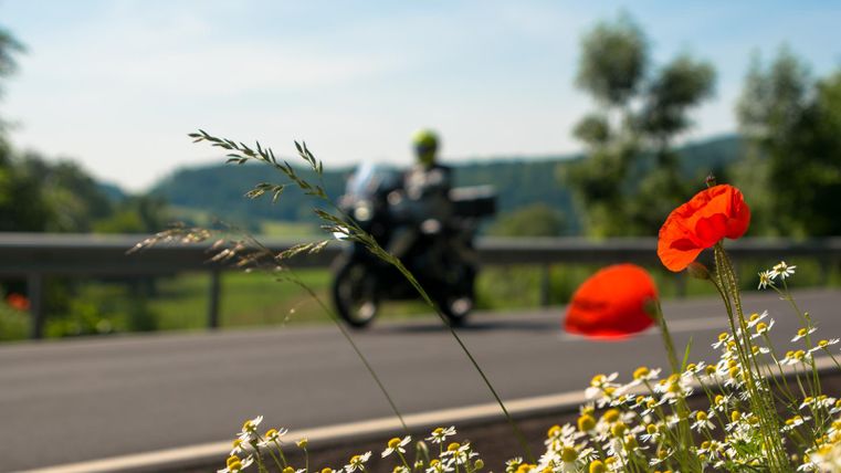 Eine bunte Blumenwiese mit roten Mohnblumen und weißen Gänseblümchen. Im Hintergrund fährt ein Motorrad auf einer ländlichen Straße.