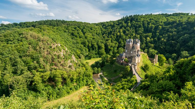 Burg Eltz auf einem bewaldeten Hügel umgeben von grüner Landschaft.