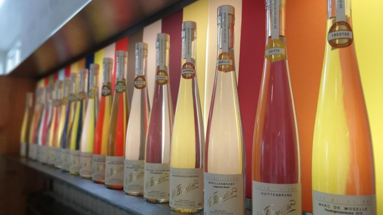 Eine Reihe von Flaschen mit bunten Fruchtsäften steht auf einem Tisch. Im Hintergrund sind farbige Wände, die die Flaschenbeleuchtung verstärken.