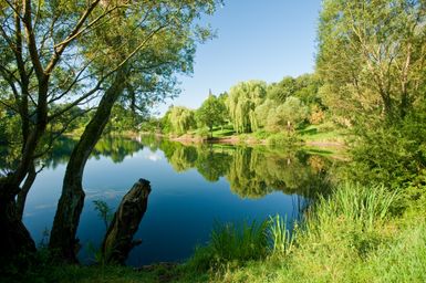 Ruhiger See mit Spiegelung der Bäume und grüner Uferlandschaft.