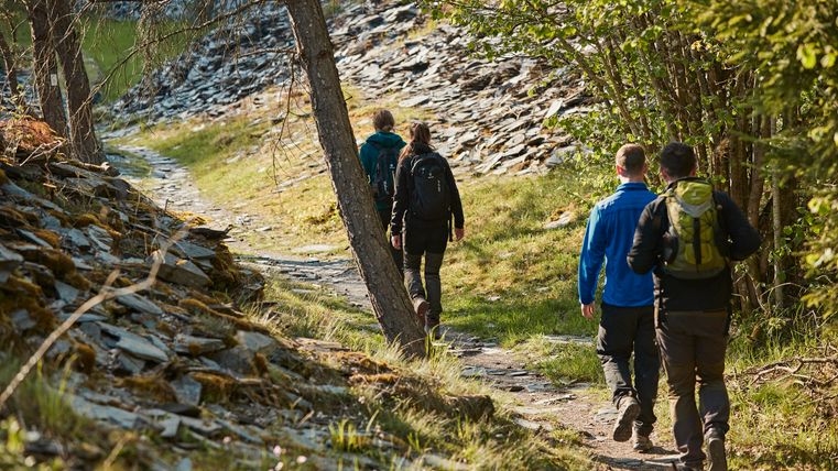 Eine Gruppe von Wanderern geht auf einem schmalen Pfad durch einen Wald. Die Sonne scheint, und die Landschaft ist von Bäumen und Steinen umgeben.