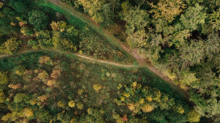 Eine Luftaufnahme die ein grünes Tal zeigt. In der Mitte des Bildes sind Wegpfade sichtbar.